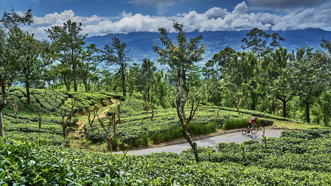 Mountain bike tur i Sri Lanka