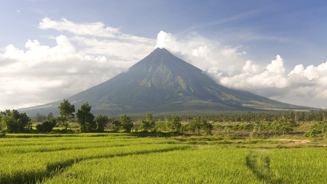 Mt. Mayon