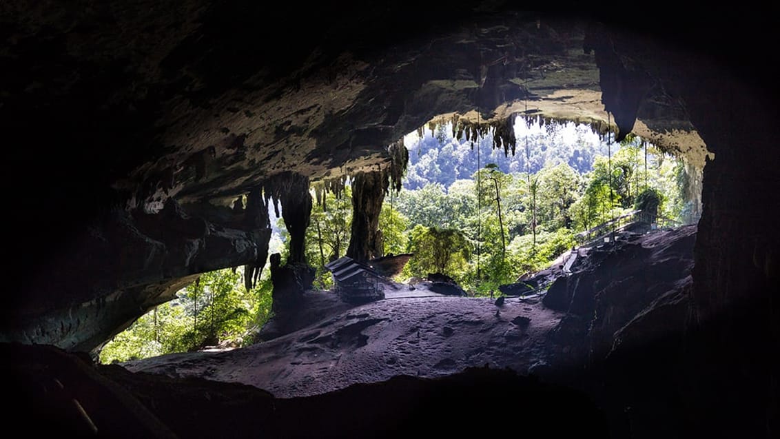 Mulu National Park, Borneo