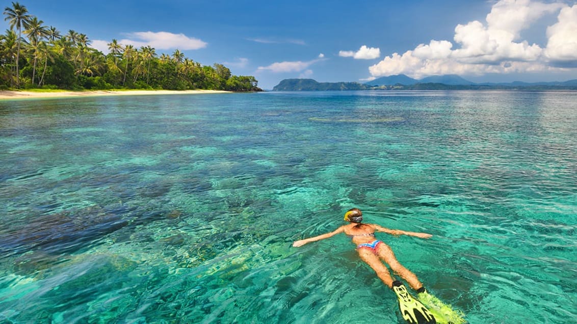 Oplev Bunaken Island ved Sulawesi