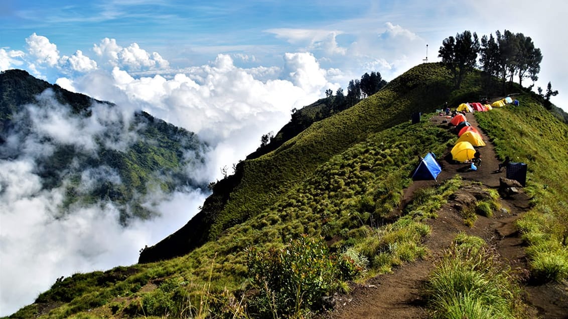 Rinjani Trek