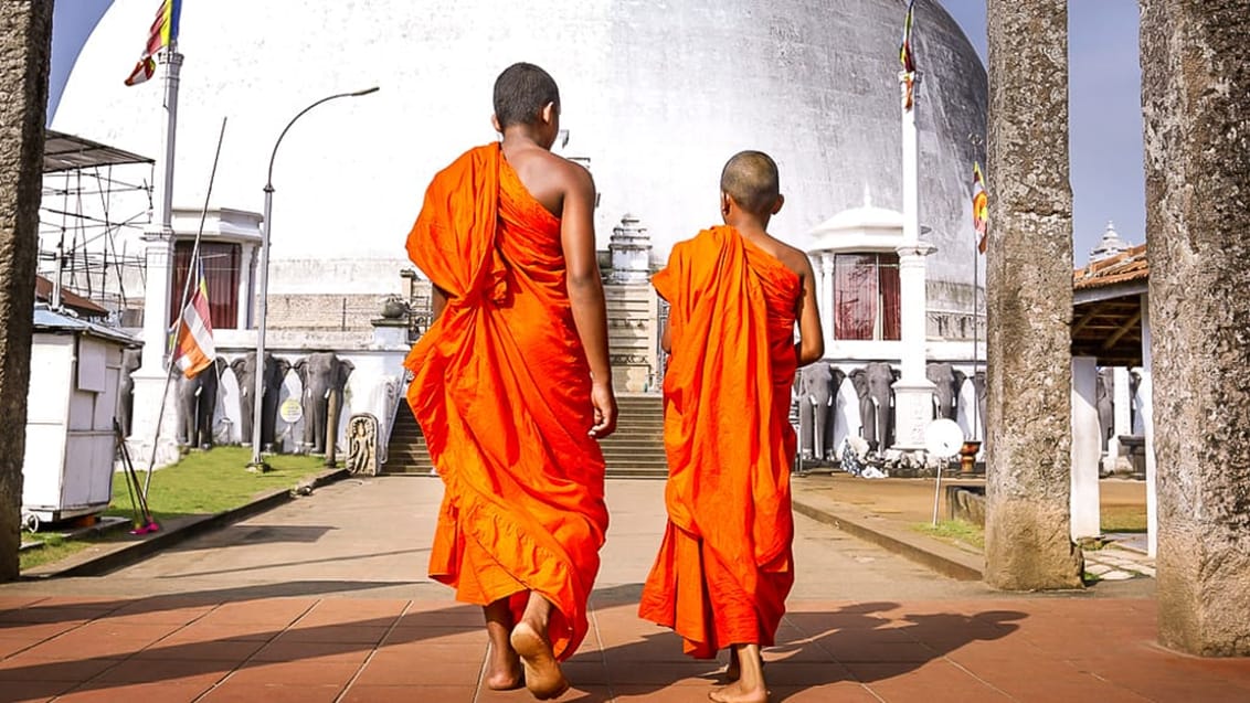 Munke ved Ruwanwelisaya stupa in Anuradhapura