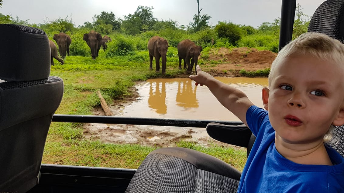 På spændende safari i børnehøjde