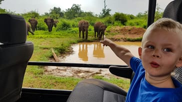 På spændende safari i børnehøjde