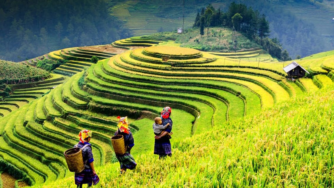 Sapa, Vietnam