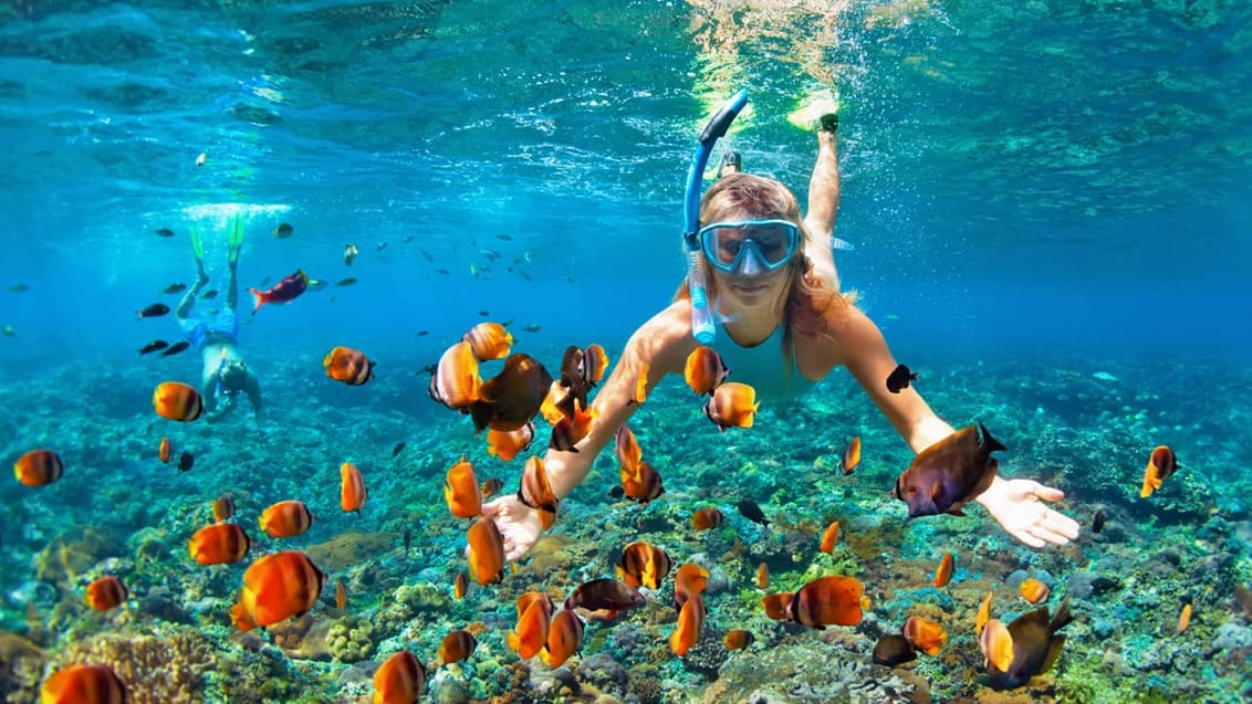 Snorkling Thailand