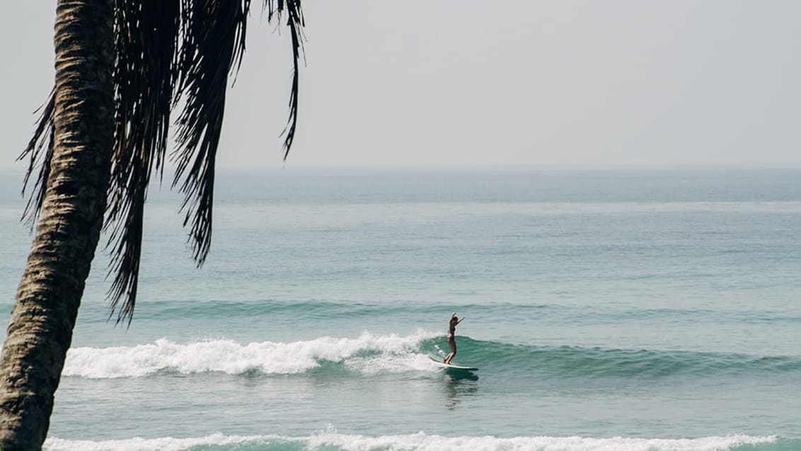 Sri Lanka, Surf Camp