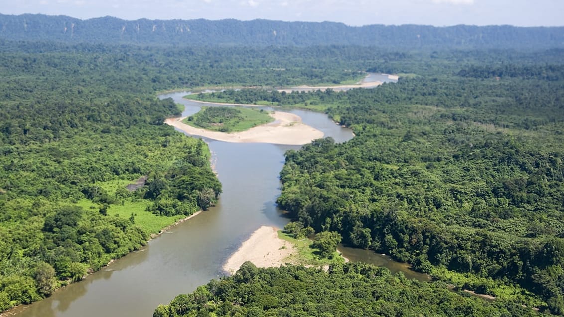 Sukau Rainforest Borneo