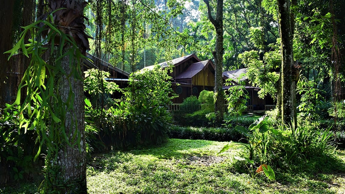 Sumatra - Bukit Lawang Jungle trekking