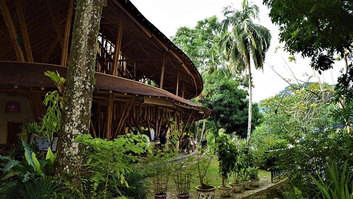 Sumatra - Bukit Lawang