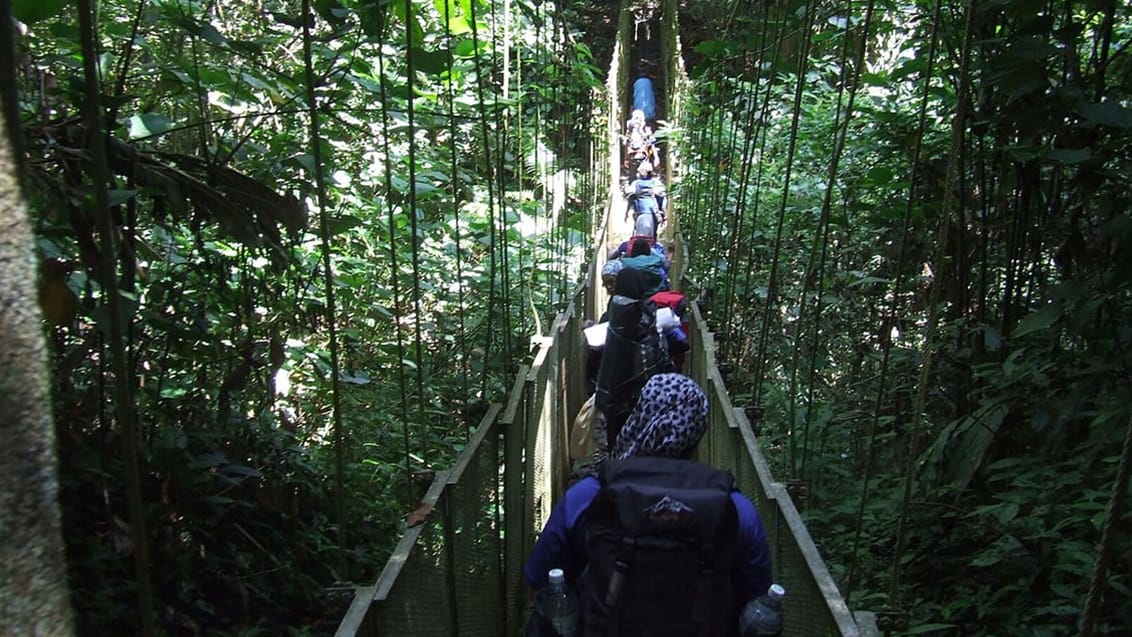 Taman Negara - Malaysia