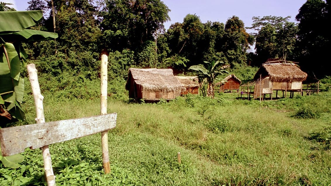 Taman Negara