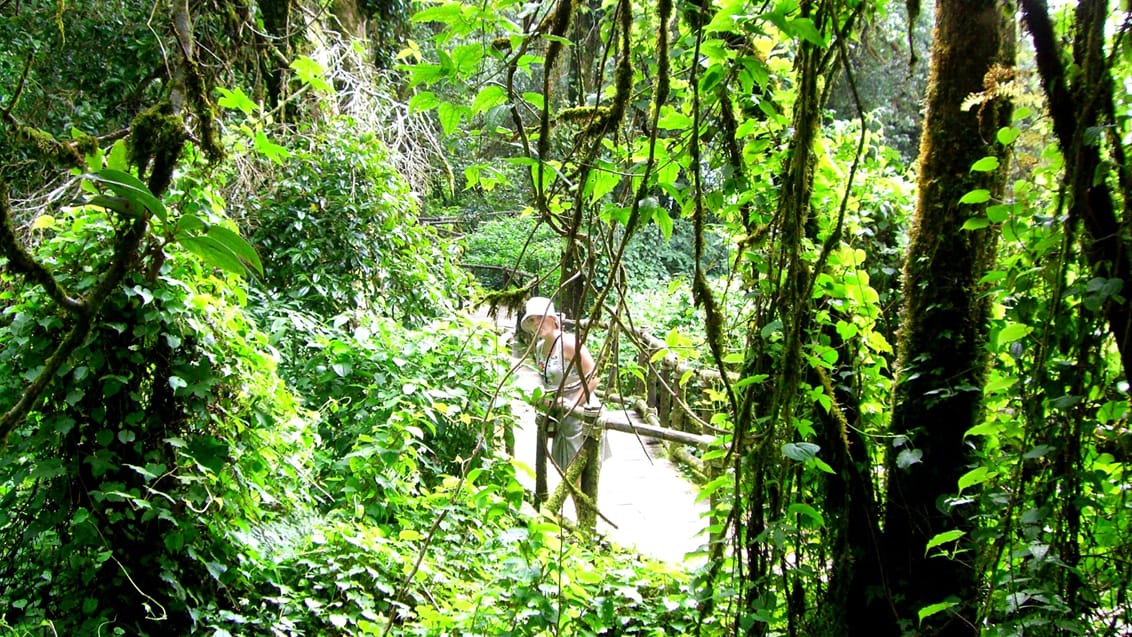 Trekking i Chiang Mai