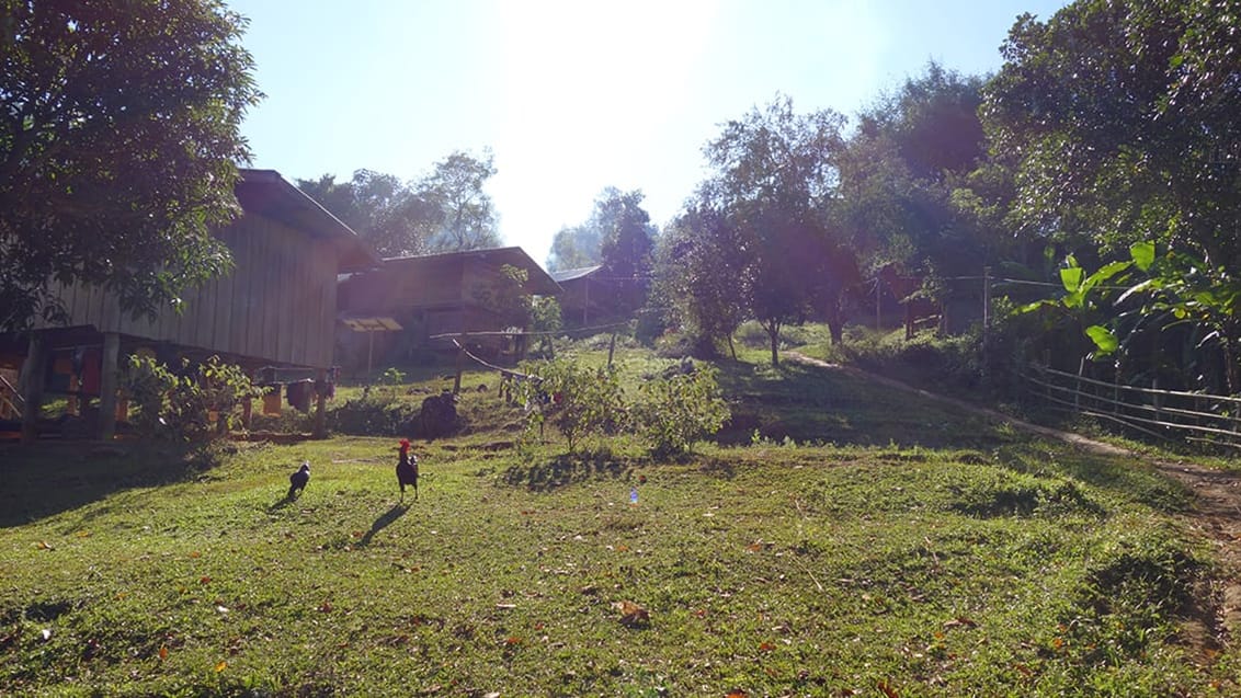 Trekking i Chiang Mai