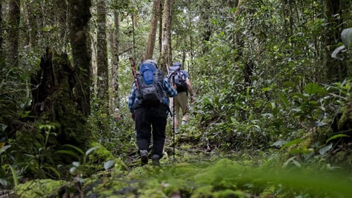 Crocker Range, Borneo