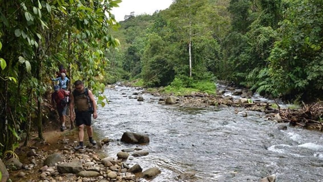 Crocker Range, Borneo