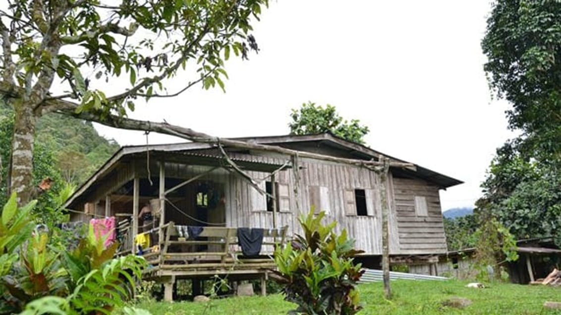 Crocker Range, Borneo