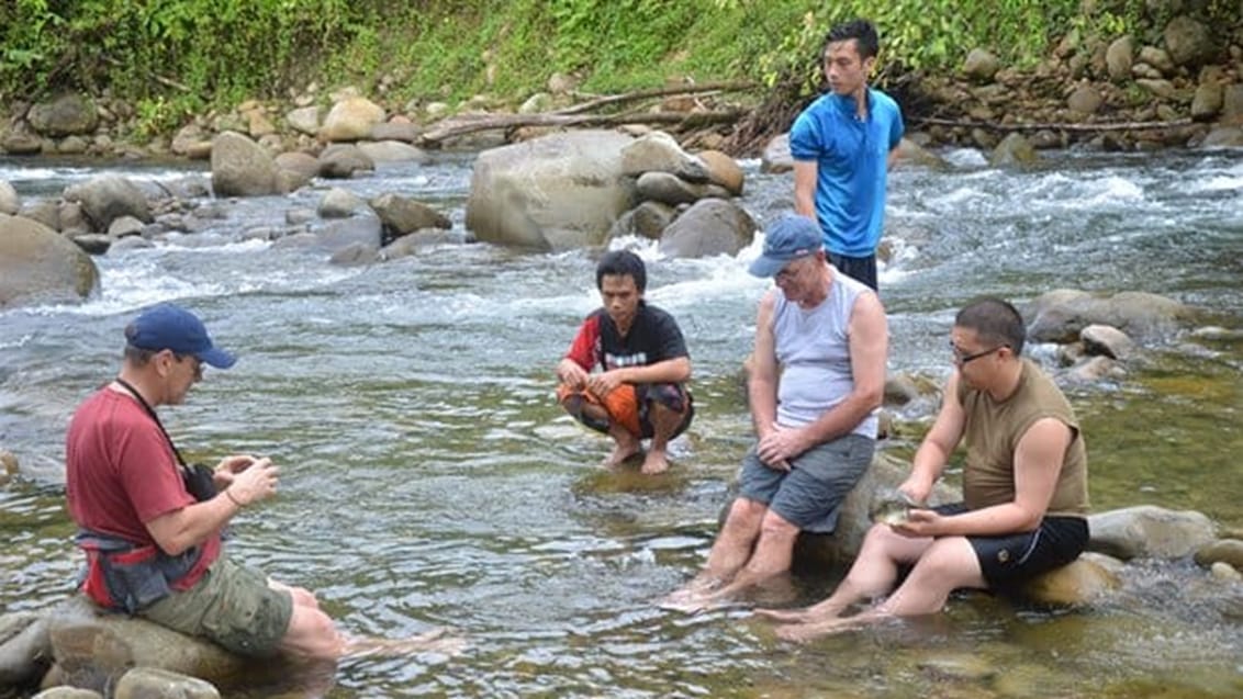 Crocker Range, Borneo