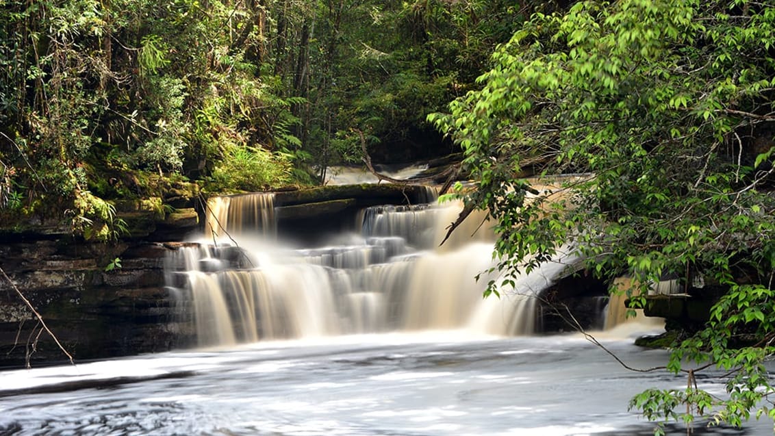 Trekking i Maliau Basin