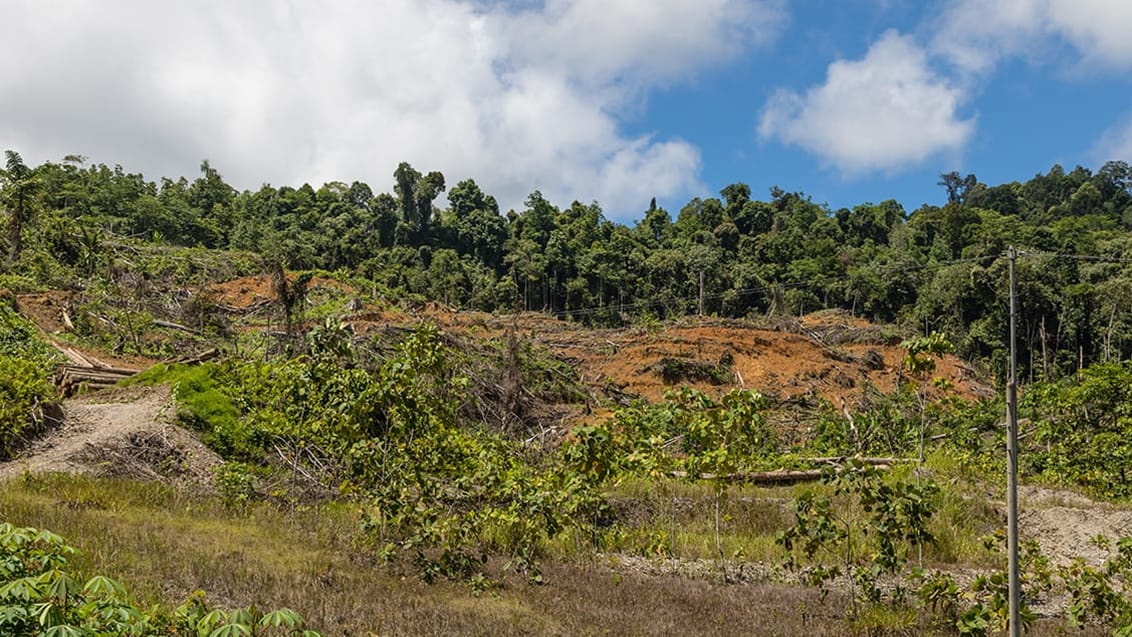 Maliau Basin, Borneo