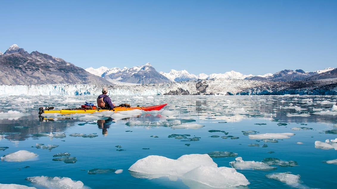 Alaska byder på fantastisk vandring, kajakture, sceniske flyvninger, wildlife og rå natur