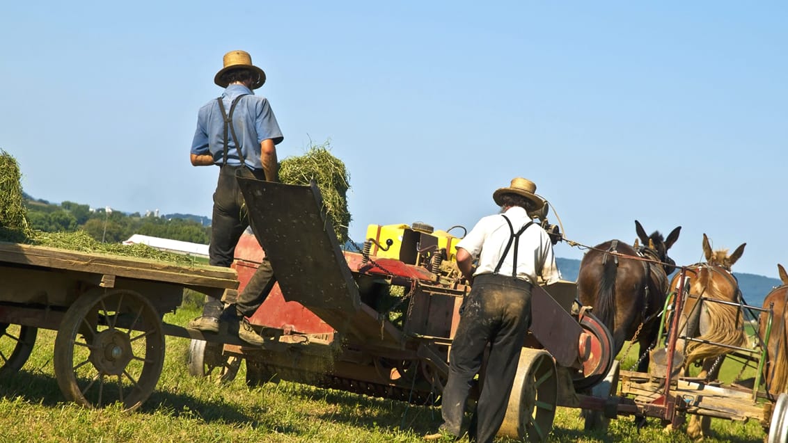 Amish, USA