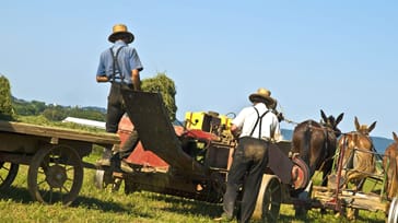 Amish, USA