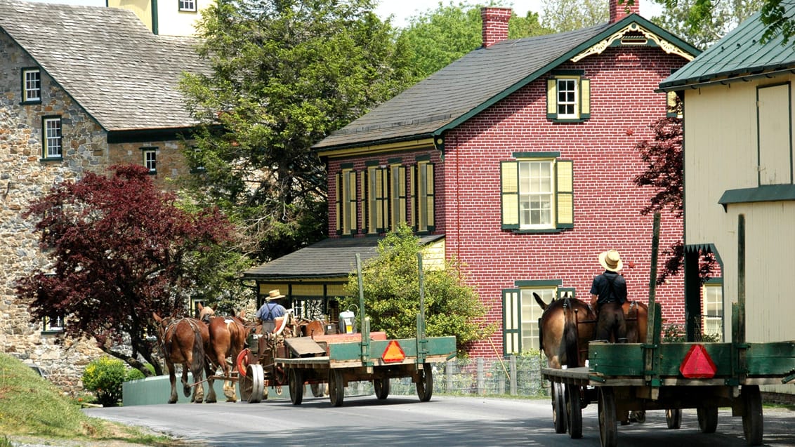 Amish, USA