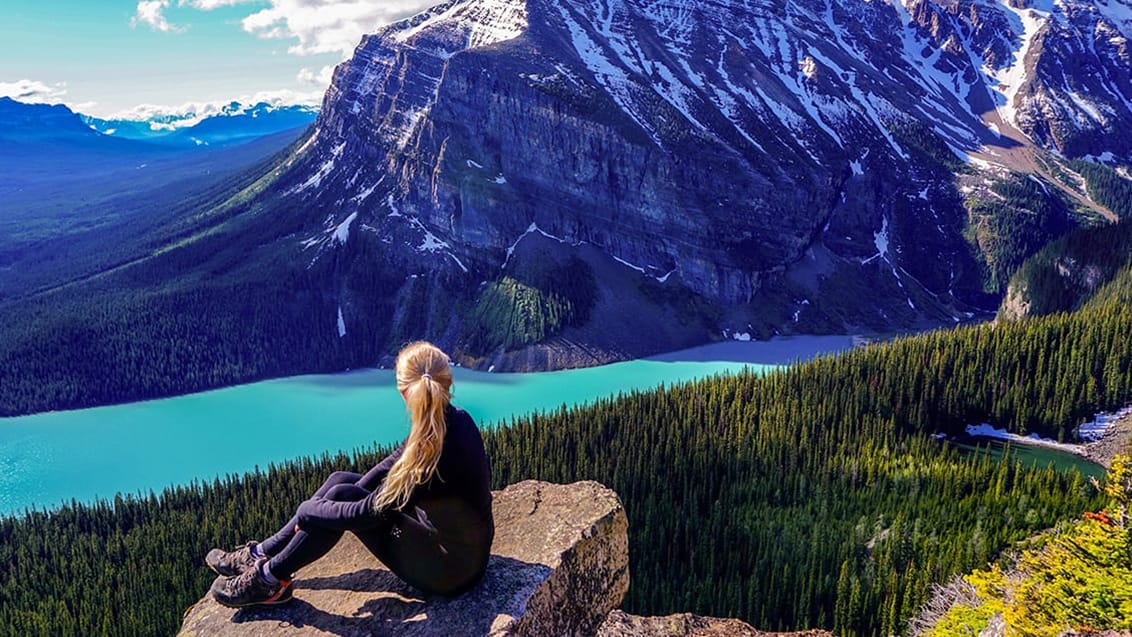 Udsigten fra Big Beehive Viewpoint i Banff National Park