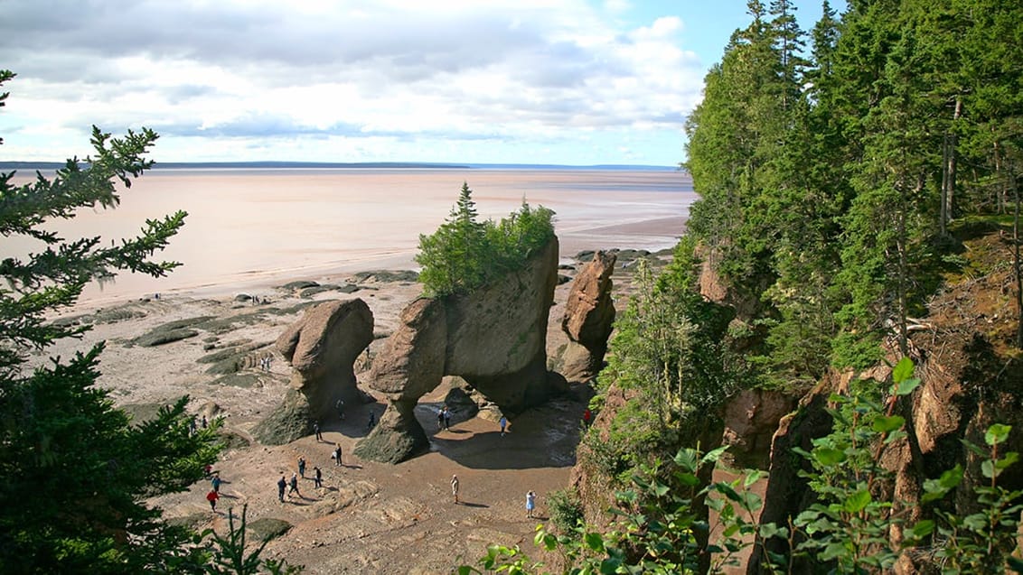 Tidevandsforskellen ved Hopewell Rocks svinger op til 14 meter fra høj- til lavvande.