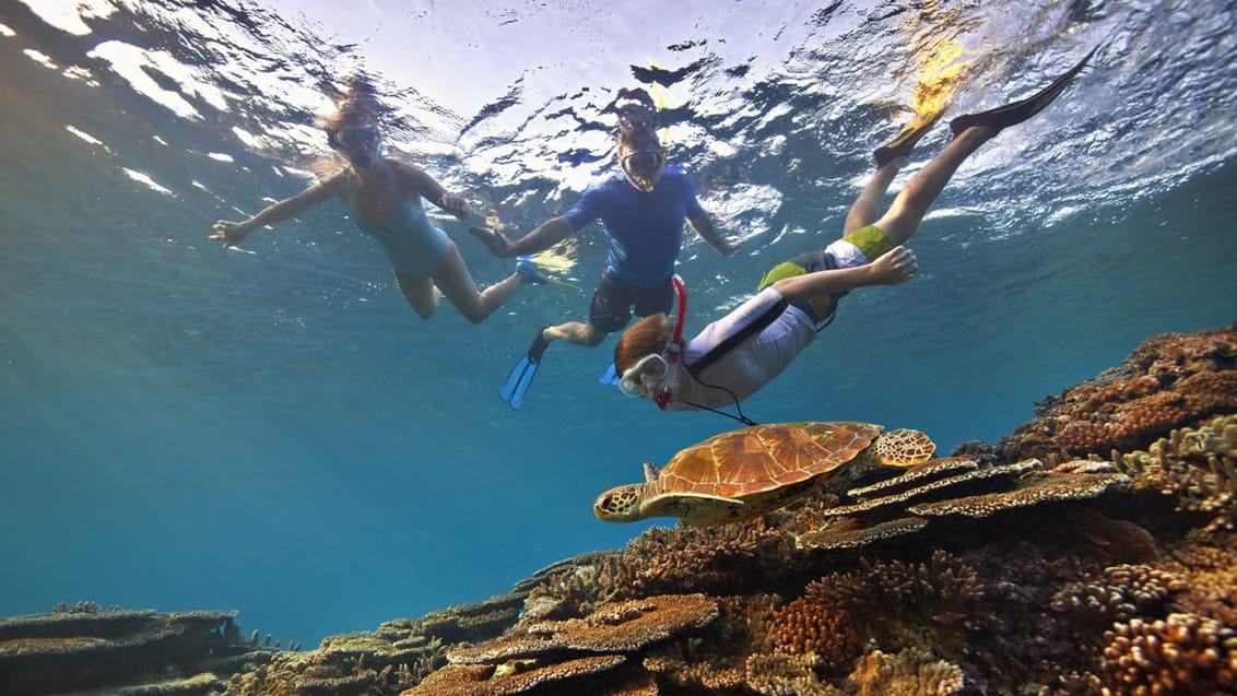 Great Barrier Reef, Australien