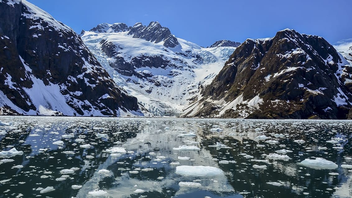 Kenai Fjords NP, Alaska