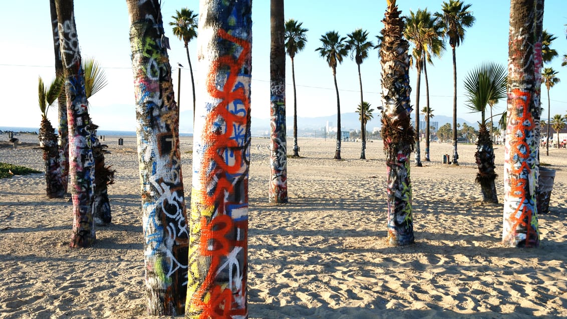 Venice Beach, Los Angeles