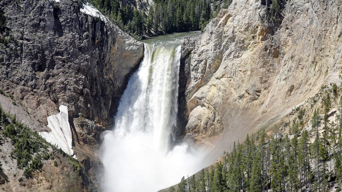 lower falls, Yellowstone, USA