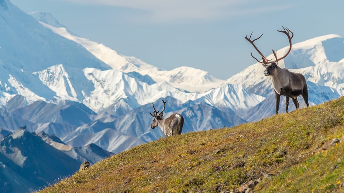 Mount McKinley, Alaska