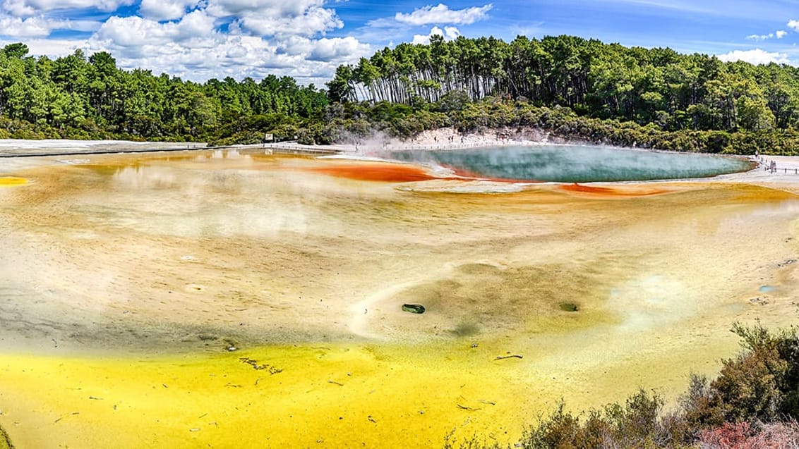 Wai-O-Tapu er et af New Zealands mest farverige vulkanske områder med gejsere og hotpools
