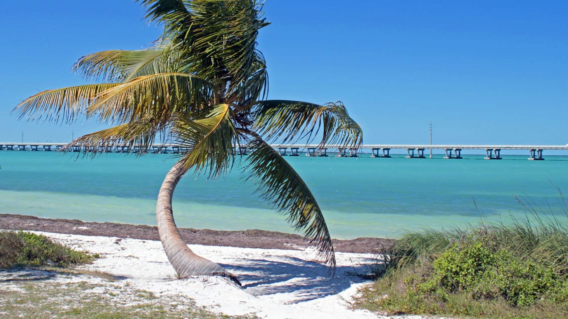 Overseas Highway, USA