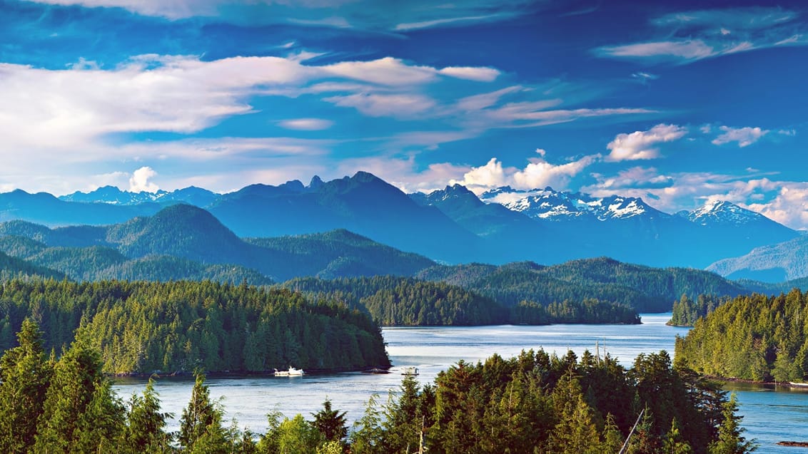 Den smukke natur ved Tofino på Vancouver Island