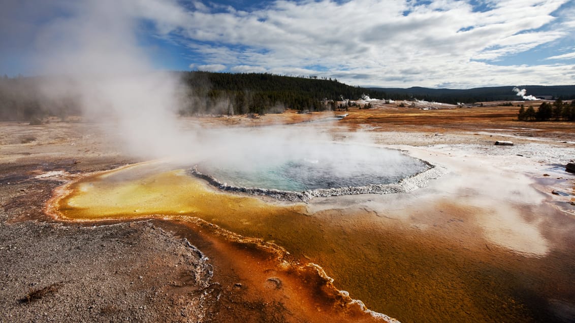 Yellowstone