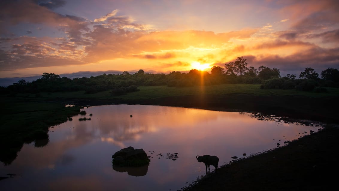 Aberdare Nationalpark