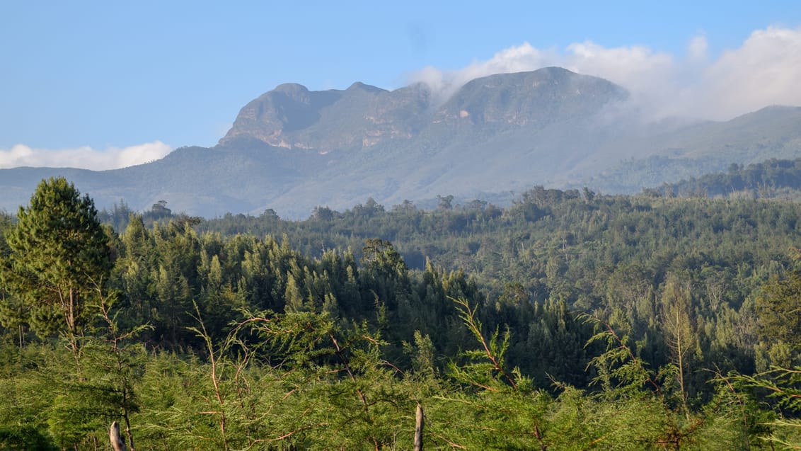 Aberdare Nationalpark