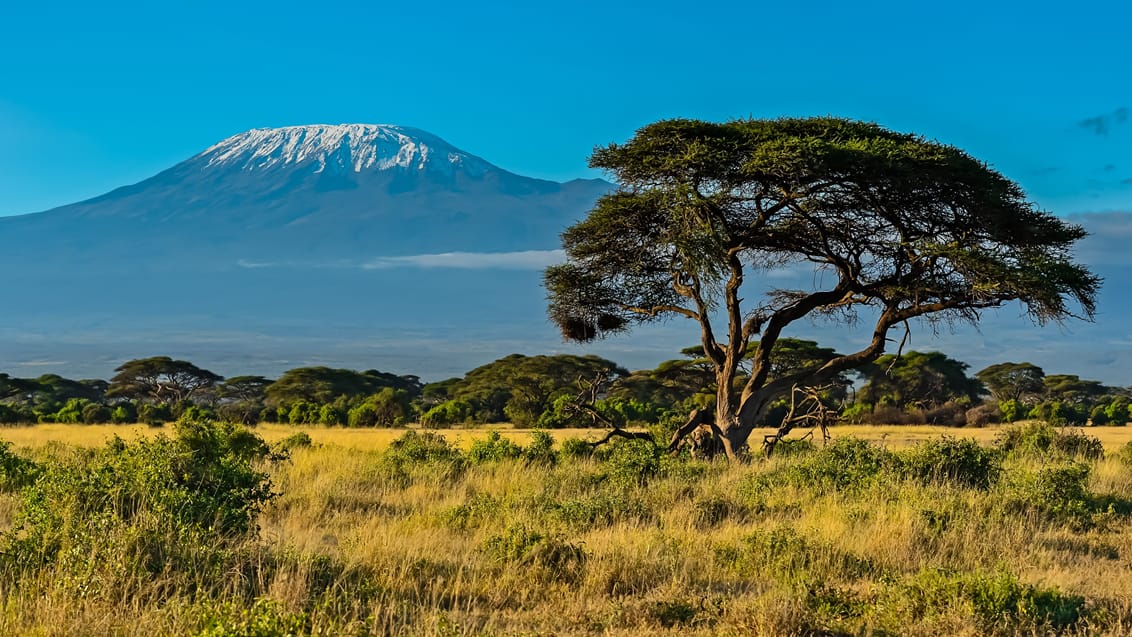 Amboseli Nationalpark