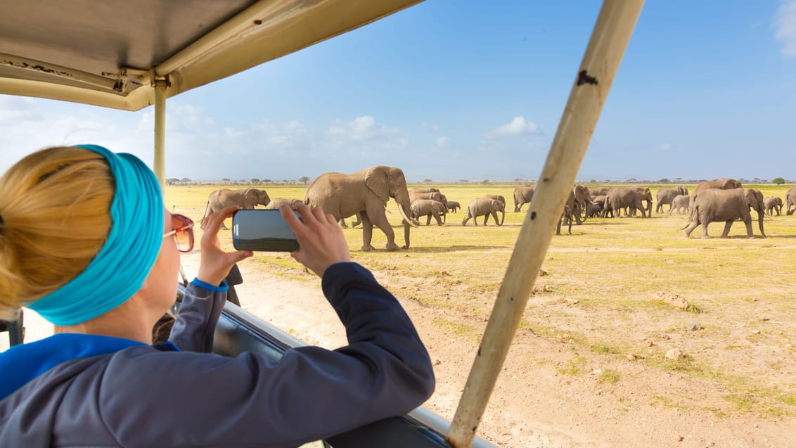 Amboseli Nationalpark