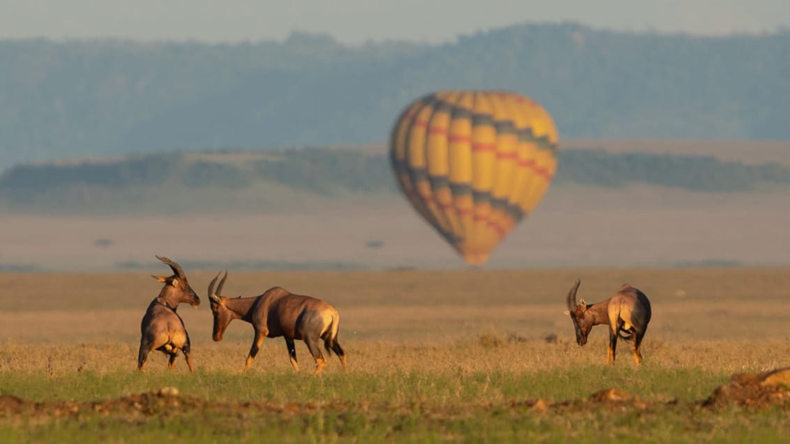 Ballonsafari, Rift Valley, Kenya