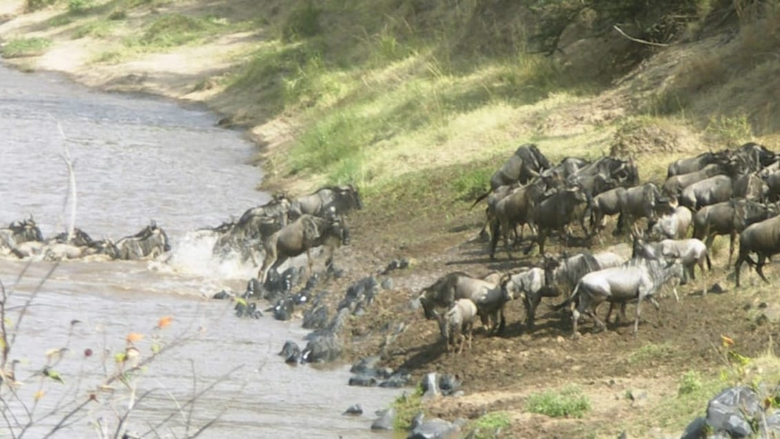 Ballonsafari, Serengeti, Tanzania