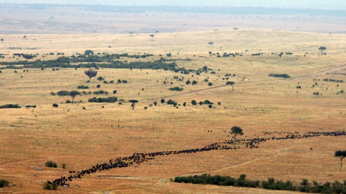 Ballonsafari, Serengeti, Tanzania