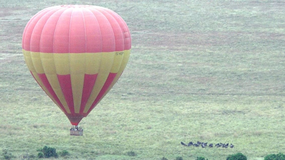 Ballonsafari, Serengeti, Tanzania