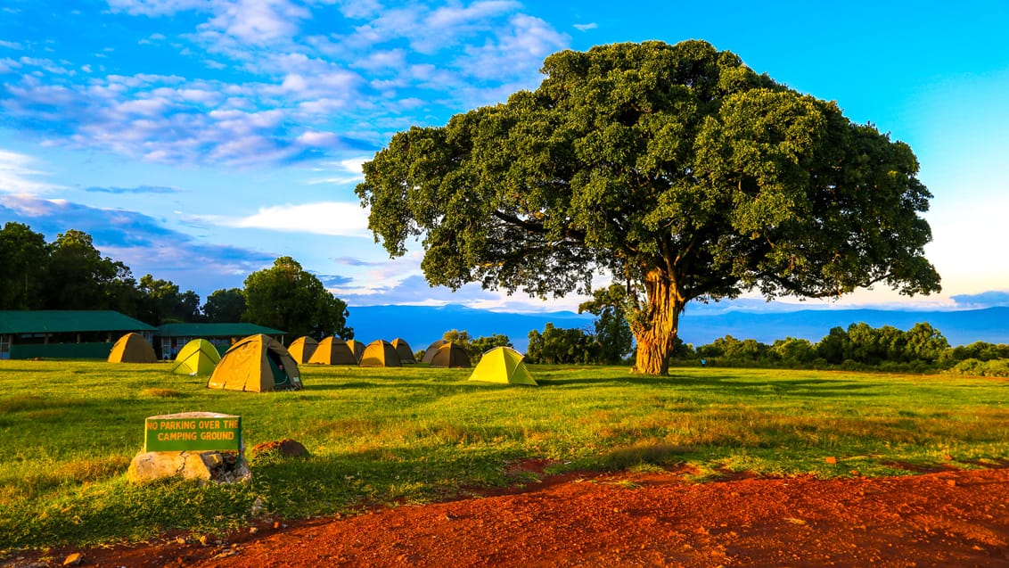 Campingplads med udsigt over Ngorongoro krateret