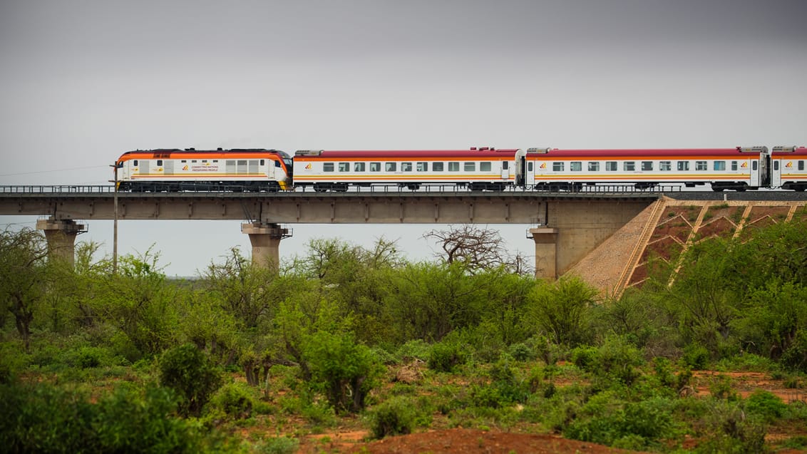 Kenya togrejse fra Nairobi til Mombasa
