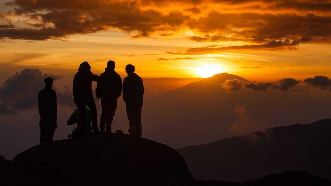 Kilimanjaro